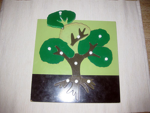 Parts of a Tree